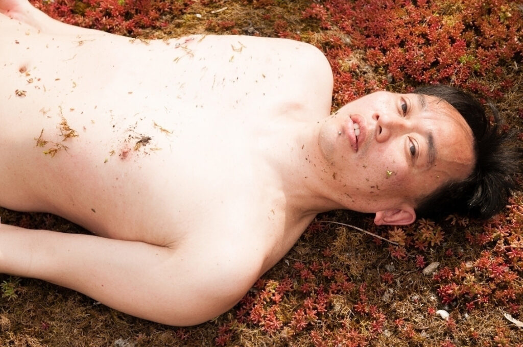 4d78cd32302675.567943e51f1f0a